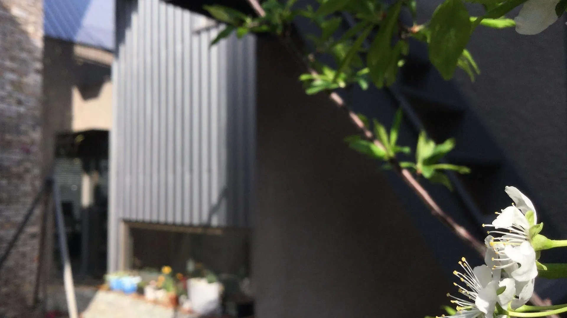 旅馆 釜山因塞德旅舍旅舍